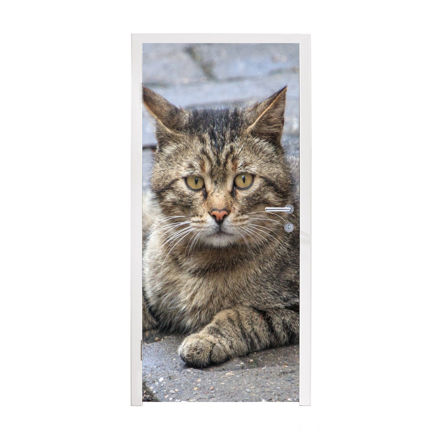 MuchoWow Türtapete Katze - Tier - Braun - Mädchen - Kinder - Jungen - Kind, Matt, bedruckt, (1 St), Fototapete für Tür, Türaufkleber, 75x205 cm