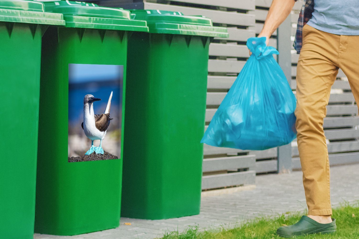 Mülltonne, Mülleimer-aufkleber, auf sonnigen Felsen sitzt (1 der MuchoWow Blaufußtölpel, Abfalbehälter einem Wandsticker St), Nachmittag an Container, Sticker, einem
