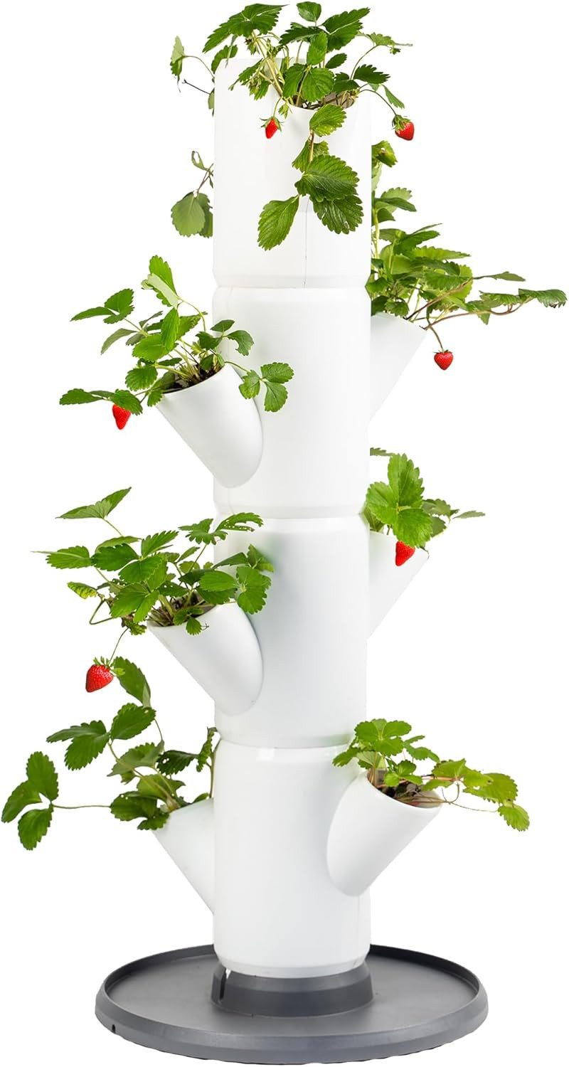 Gusta Garden Hochbeet SISSI STRAWBERRY starter (inkl. Wasserauslaufschutz & Wasserleitsystem), Erdbeerbaum mit 4 Etagen, weiß