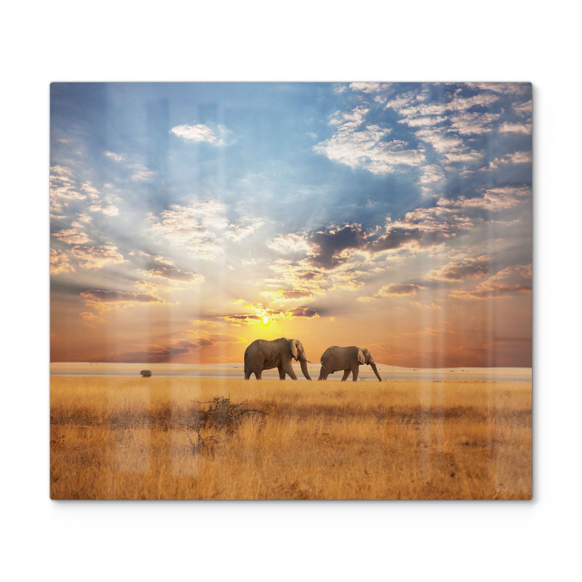 DEQORI Herdblende-/Abdeckplatte 'Elefanten in der Steppe', Glas, (1 tlg), Glas Herdabdeckplatte Ceranfeld Herd