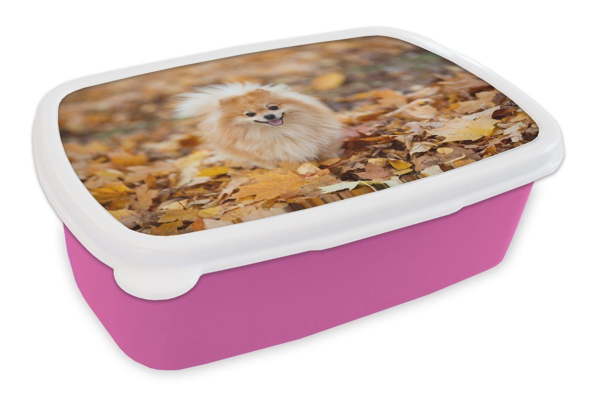 MuchoWow Lunchbox Pomeranian im Herbst, Kunststoff, (2-tlg), Brotbox für Erwachsene, Brotdose Kinder, Snackbox, Mädchen, Kunststoff rosa