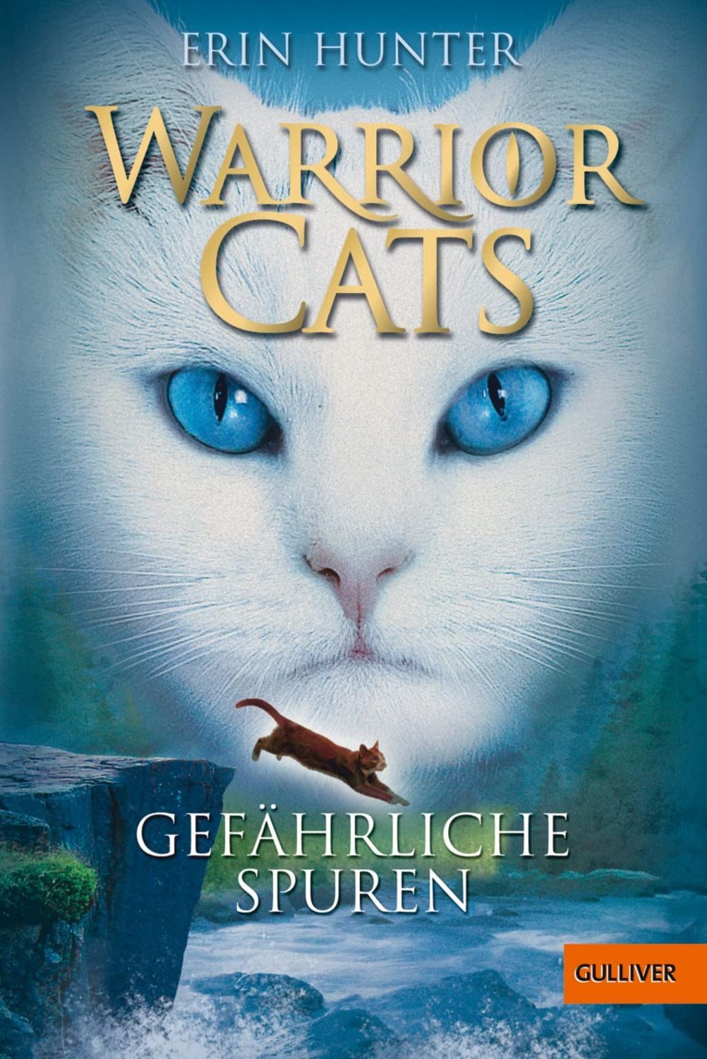 Gefährliche Spuren / Warrior Cats Staffel 1 Bd.5 / Erin Hunter