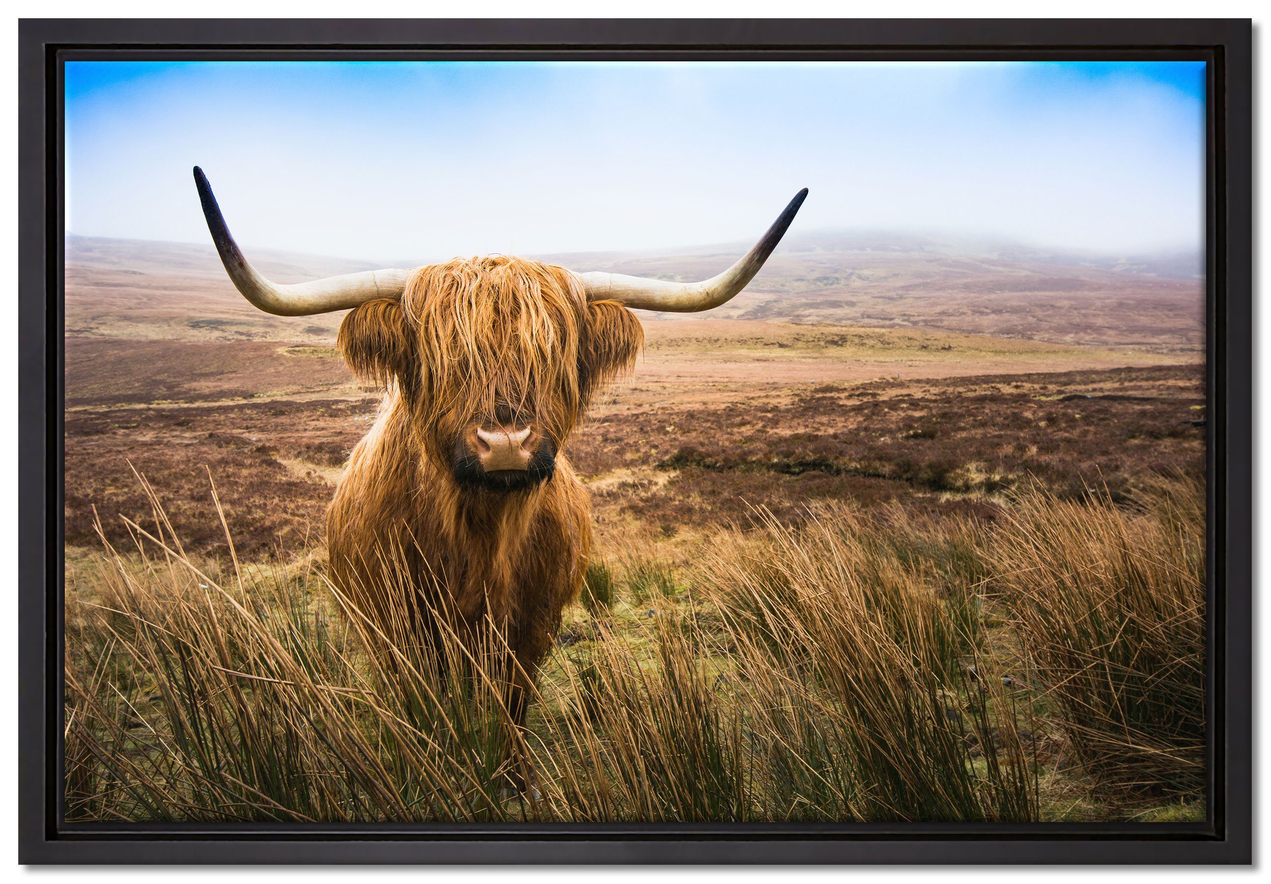 Pixxprint Leinwandbild Highland Rind mit großen Hörnern Steppe, Wanddekoration (1 St), Leinwandbild fertig bespannt, in einem Schattenfugen-Bilderrahmen gefasst, inkl. Zackenaufhänger