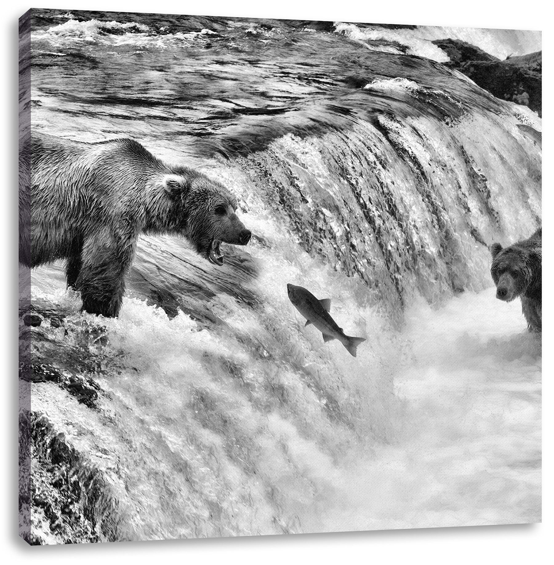 Pixxprint Leinwandbild Bären fangen Lachs, Bären fangen Lachs (1 St), Leinwandbild fertig bespannt, inkl. Zackenaufhänger