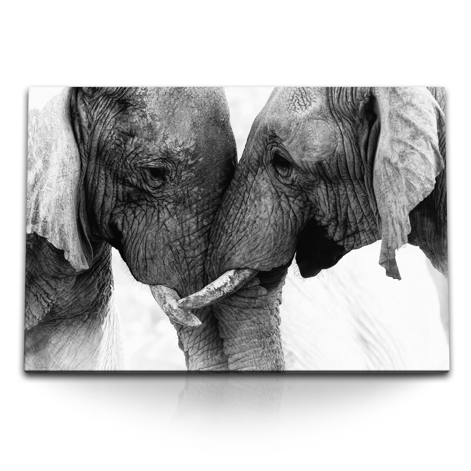 Sinus Art Leinwandbild 120x80cm Wandbild auf Leinwand Schwarz Weiß Tierfotografie Elefanten S, (1 St)