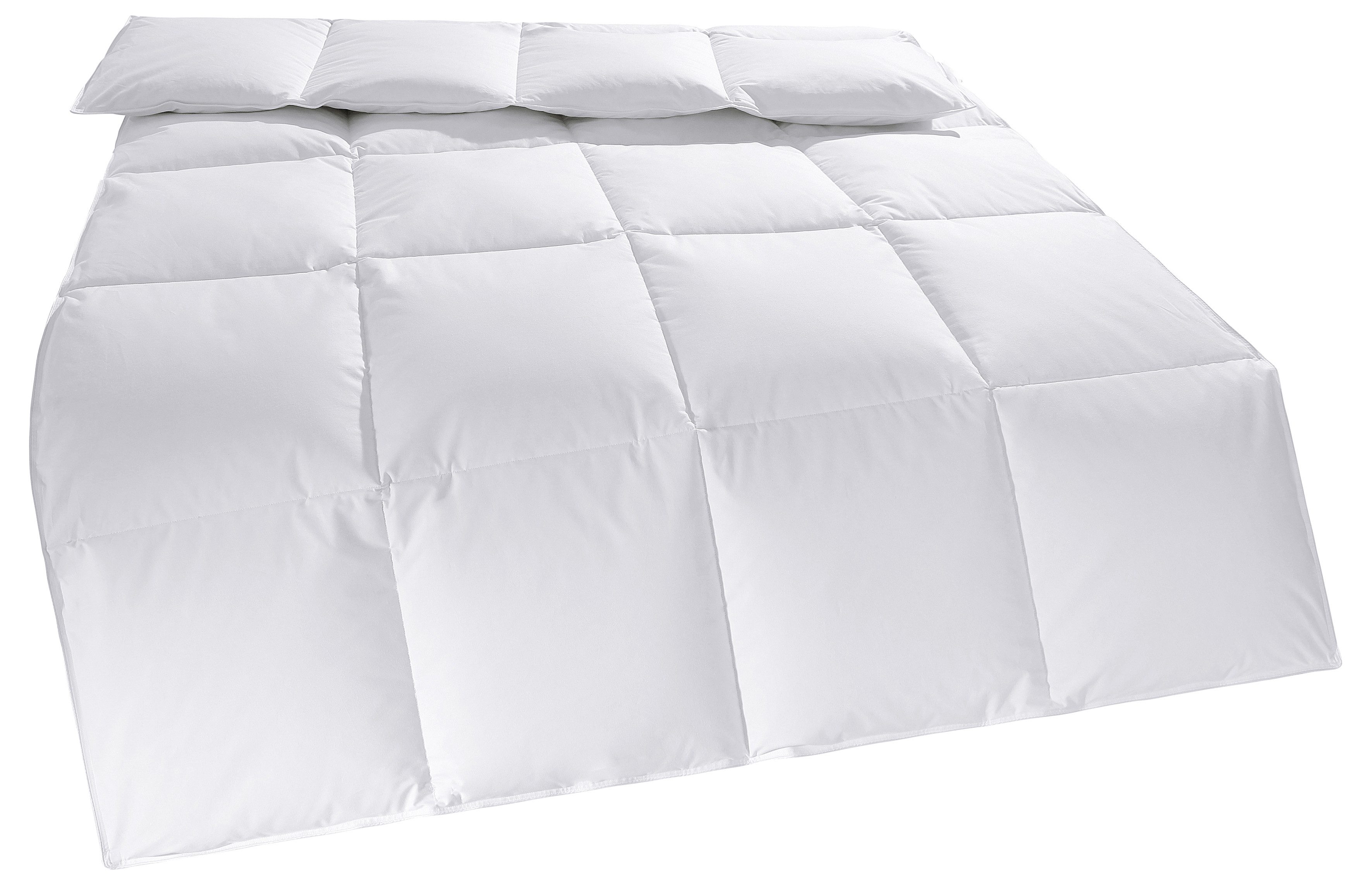 OTTO home Daunenbettdecke + Kopfkissen Cyra Set, Bettdecke 135x200 & 155x220 cm mit Kissen 80x80 cm, Füllung: Daunen & Federn, Set, wo besonders auf artgerechte Haltung der Tiere geachtet wird