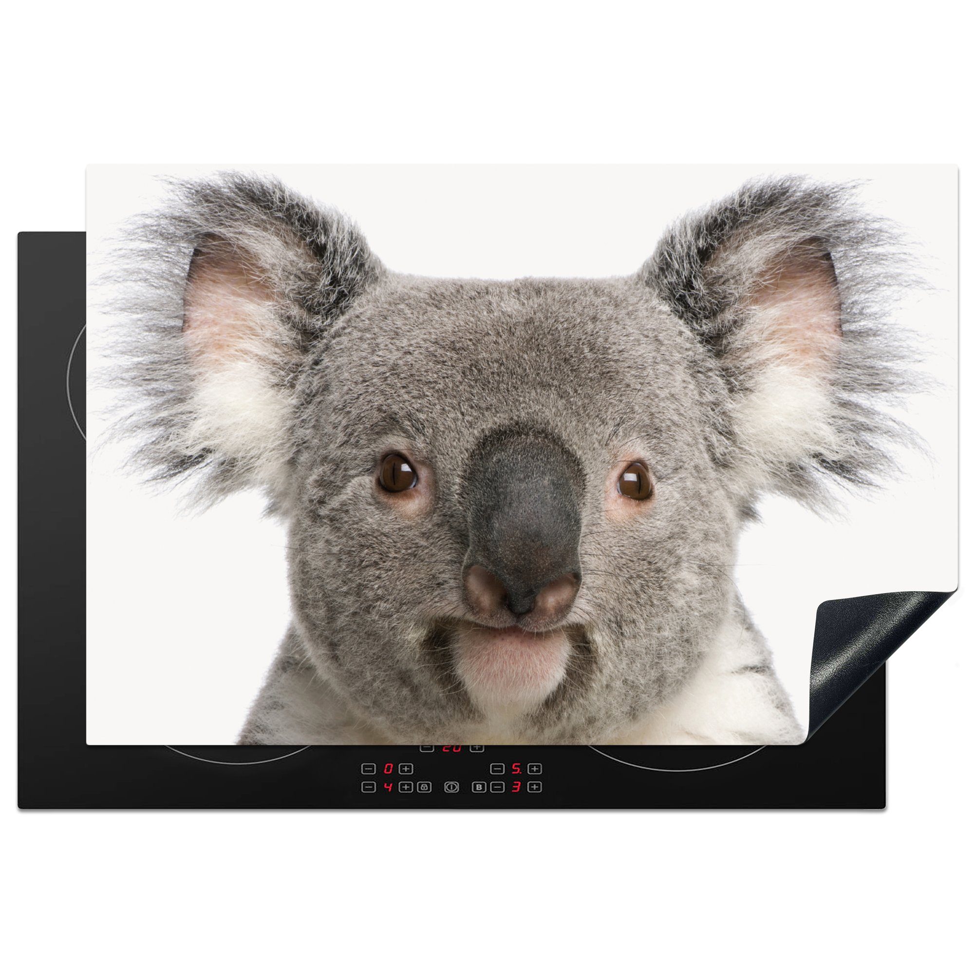 MuchoWow Herdblende-/Abdeckplatte Koala - Koala Bär - Mädchen - Jungen - Tiere, Vinyl, (1 tlg), 77x51 cm, Ceranfeldabdeckung, Arbeitsplatte für küche