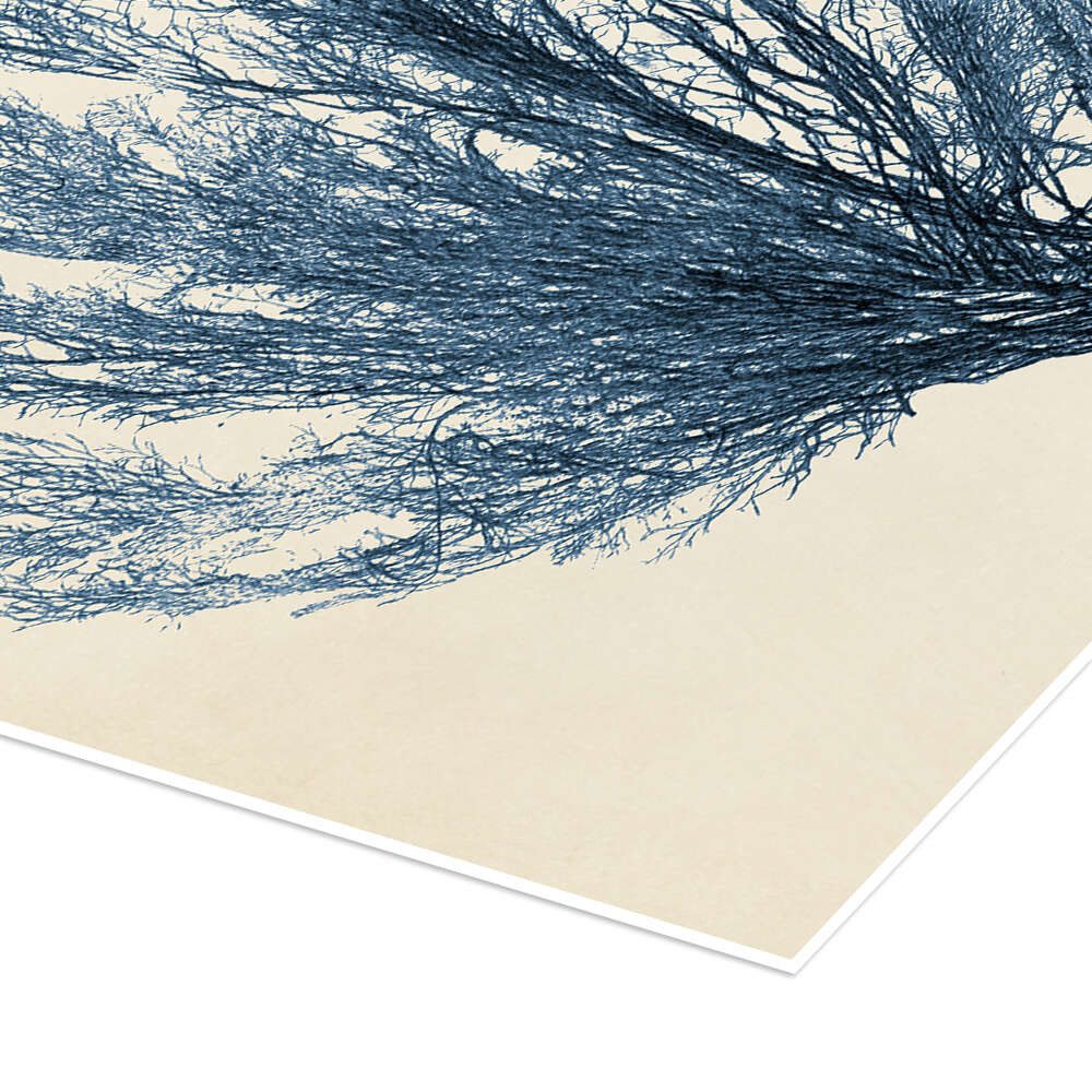 Posterlounge Wandbild Indigo Koralle V, Vision Studio, erhältlich als Poster, Leinwandbild, Wandsticker oder Acrylglasbild