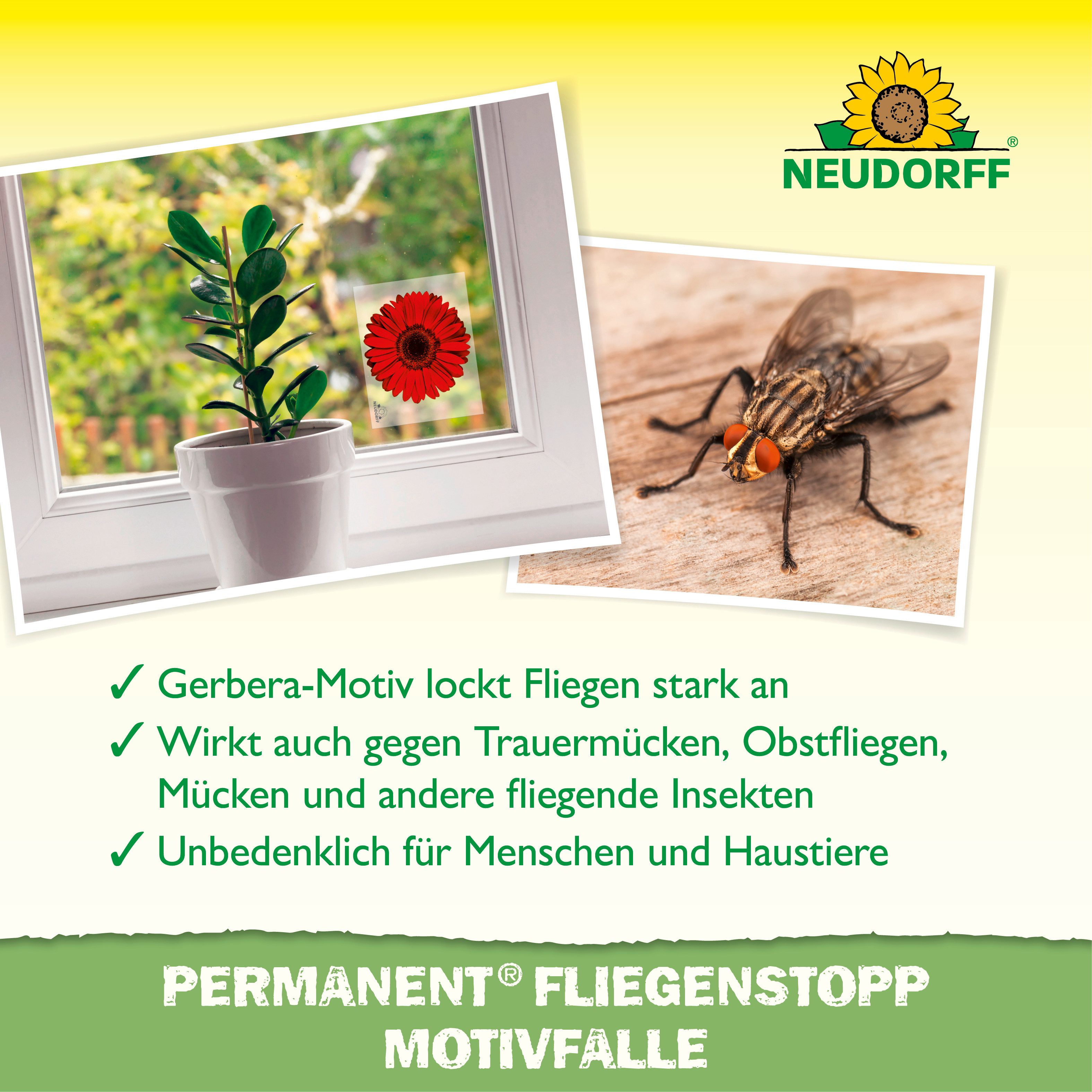 Neudorff Klebefalle Permanent FliegenStopp 4 St., Dekoratives Blumenmotiv zur Anlockung fliegender Insekten – Bild 4 von 5
