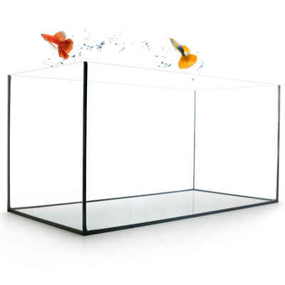 GarPet Aquarium Aquarium Becken rechteckig Glas Aquariumbecken 60x30x30