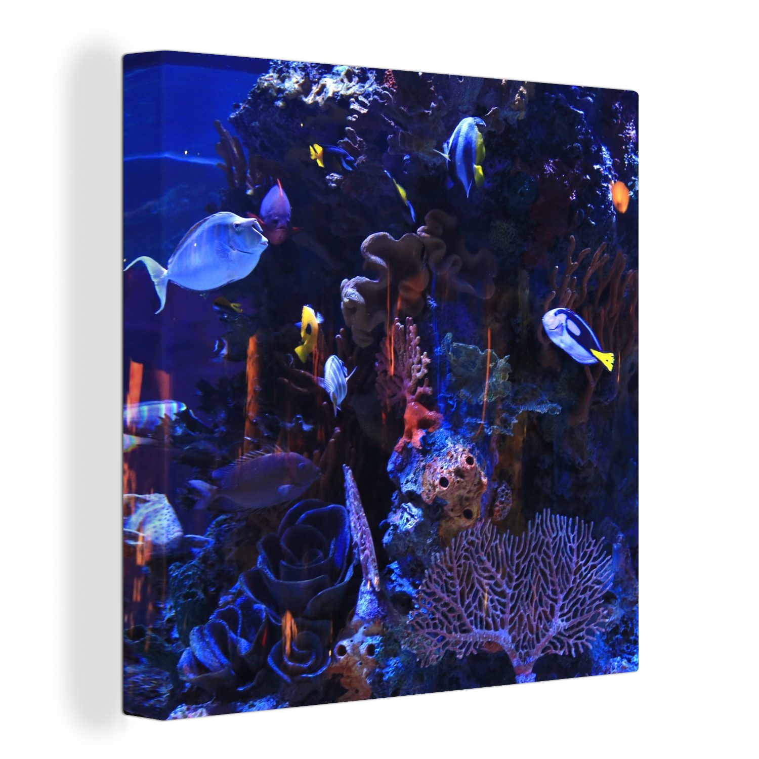 OneMillionCanvasses® Leinwandbild Tropisches Meerwasseraquarium, (1 St), Leinwand Bilder für Wohnzimmer Schlafzimmer
