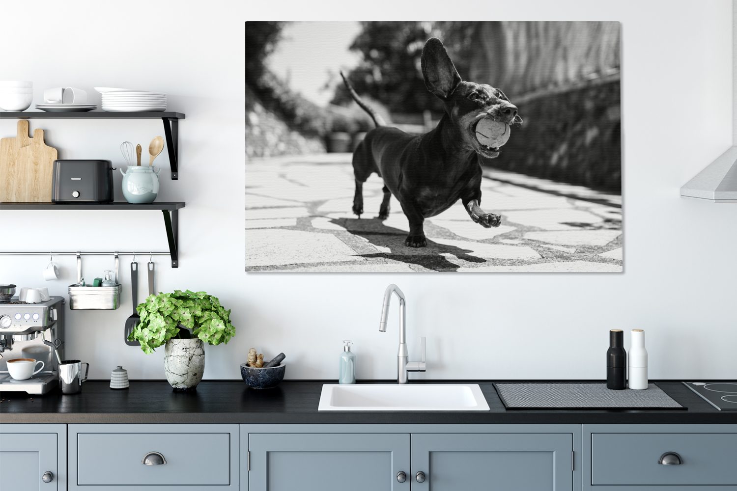 OneMillionCanvasses® Leinwandbild Ein schwarzer Dackel Wandbild alle für St), einem Tennisball mit schwarz (1 - XXL, Wohnbereiche, Gemälde, 120x80 großes, weiß, und cm
