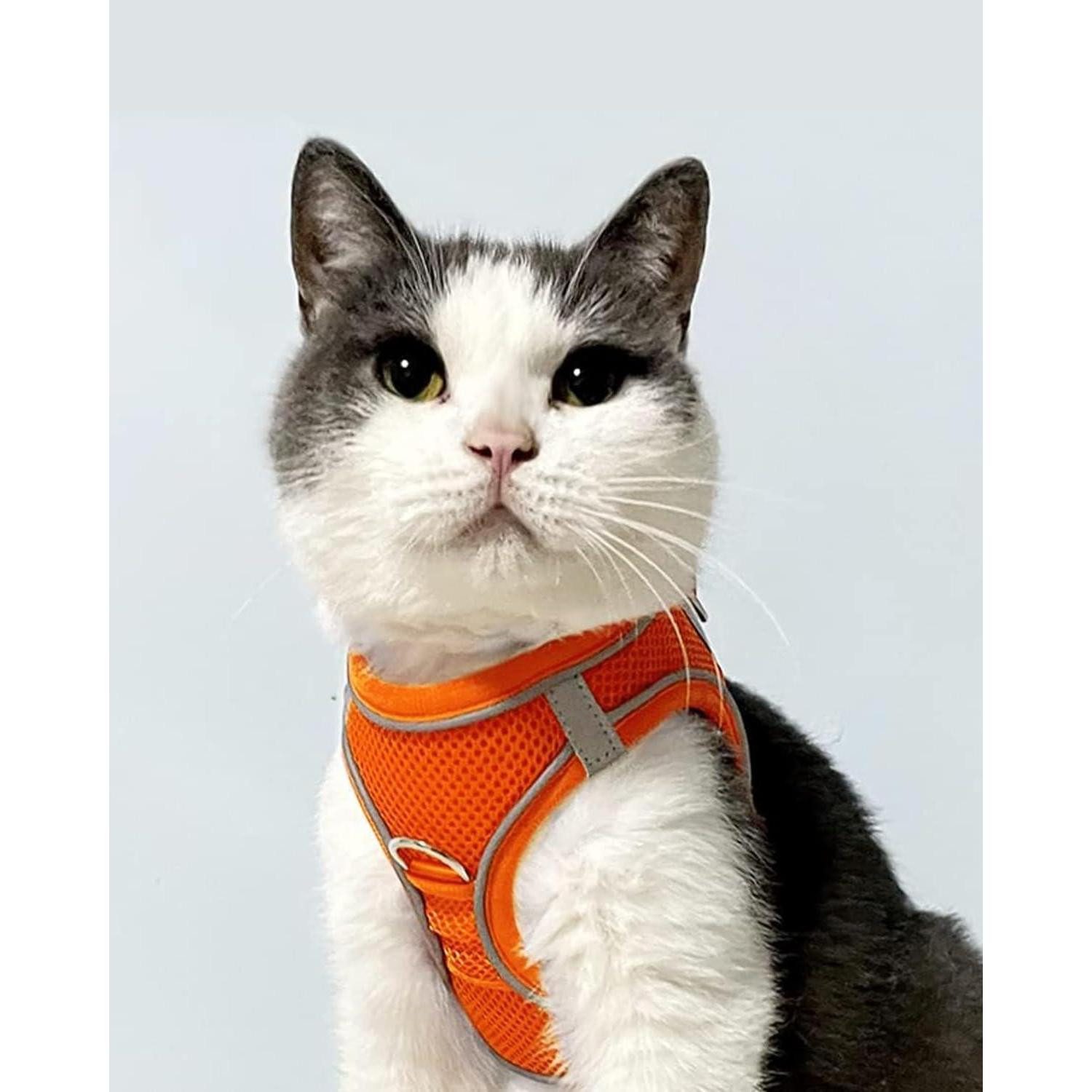LuxusKollektion Hunde-Geschirr Hundegeschirr Brustgeschirr Reflektierend XXS-Brust:31-34cm Orange