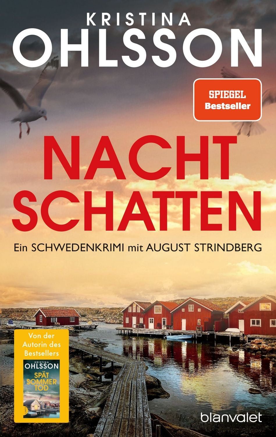 Nachtschatten / Kristina Ohlsson