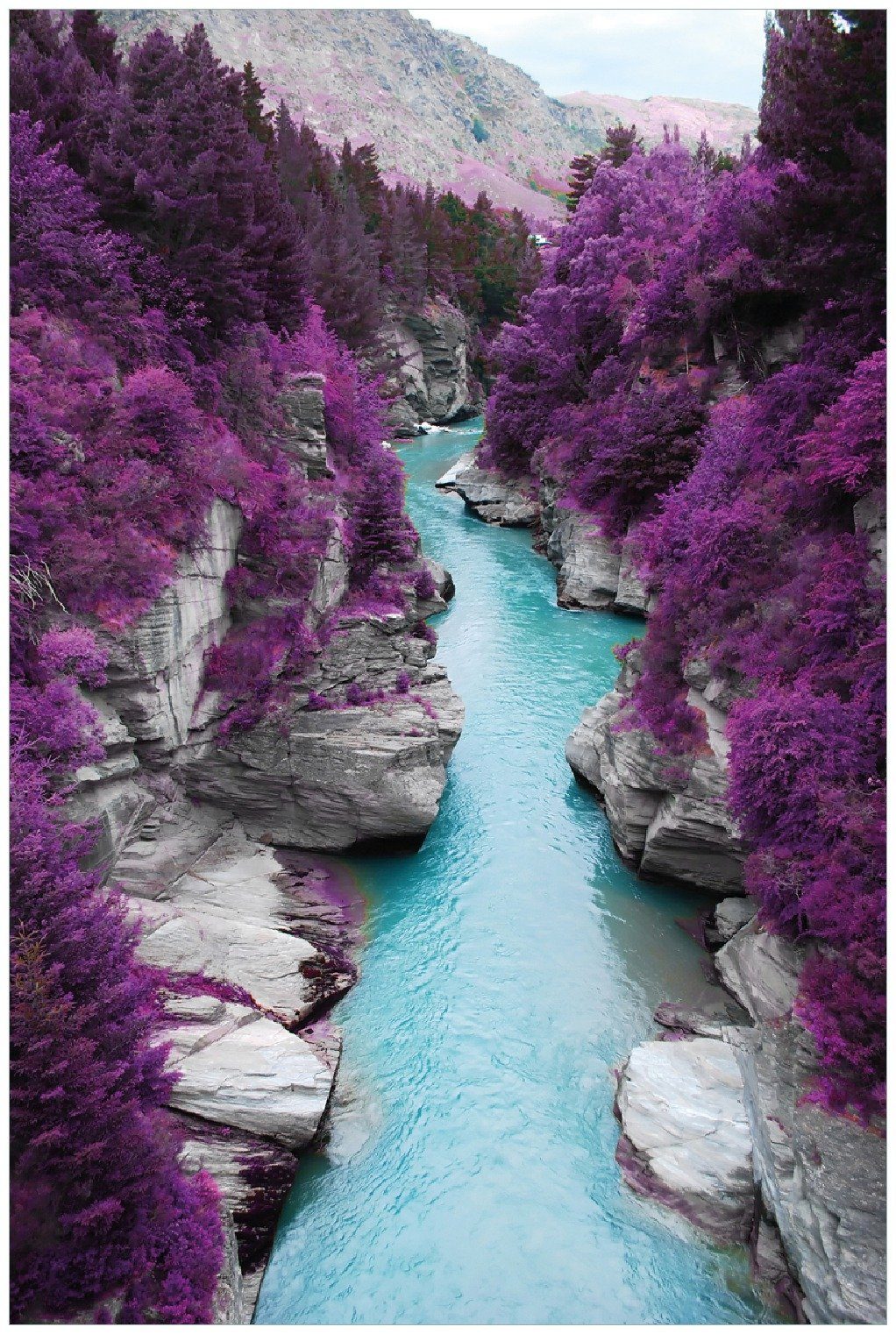 Wallario Poster, Fluss in lilafarbener Schlucht, in verschiedenen Ausführungen