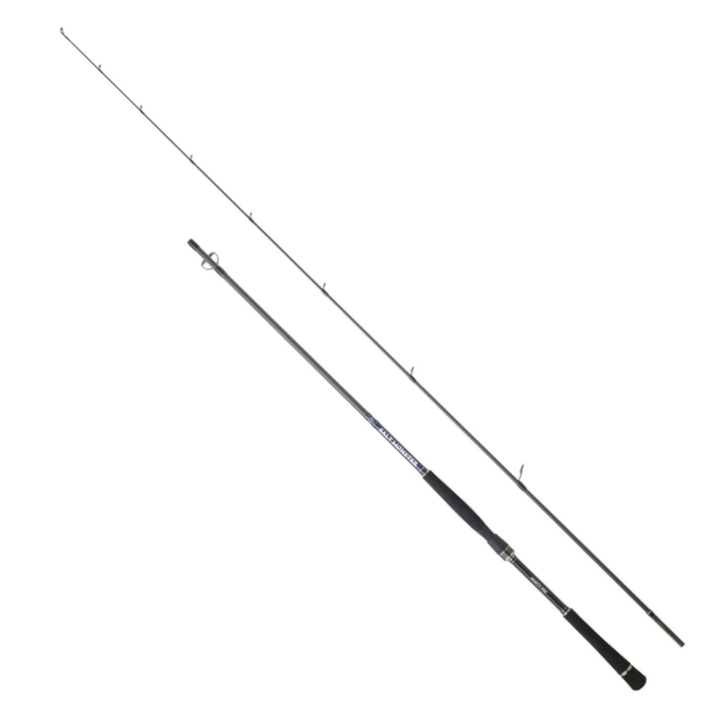 Spinnrute Hearty Rise Salt Monster SW 2,60m 10-60g - Spinnrute