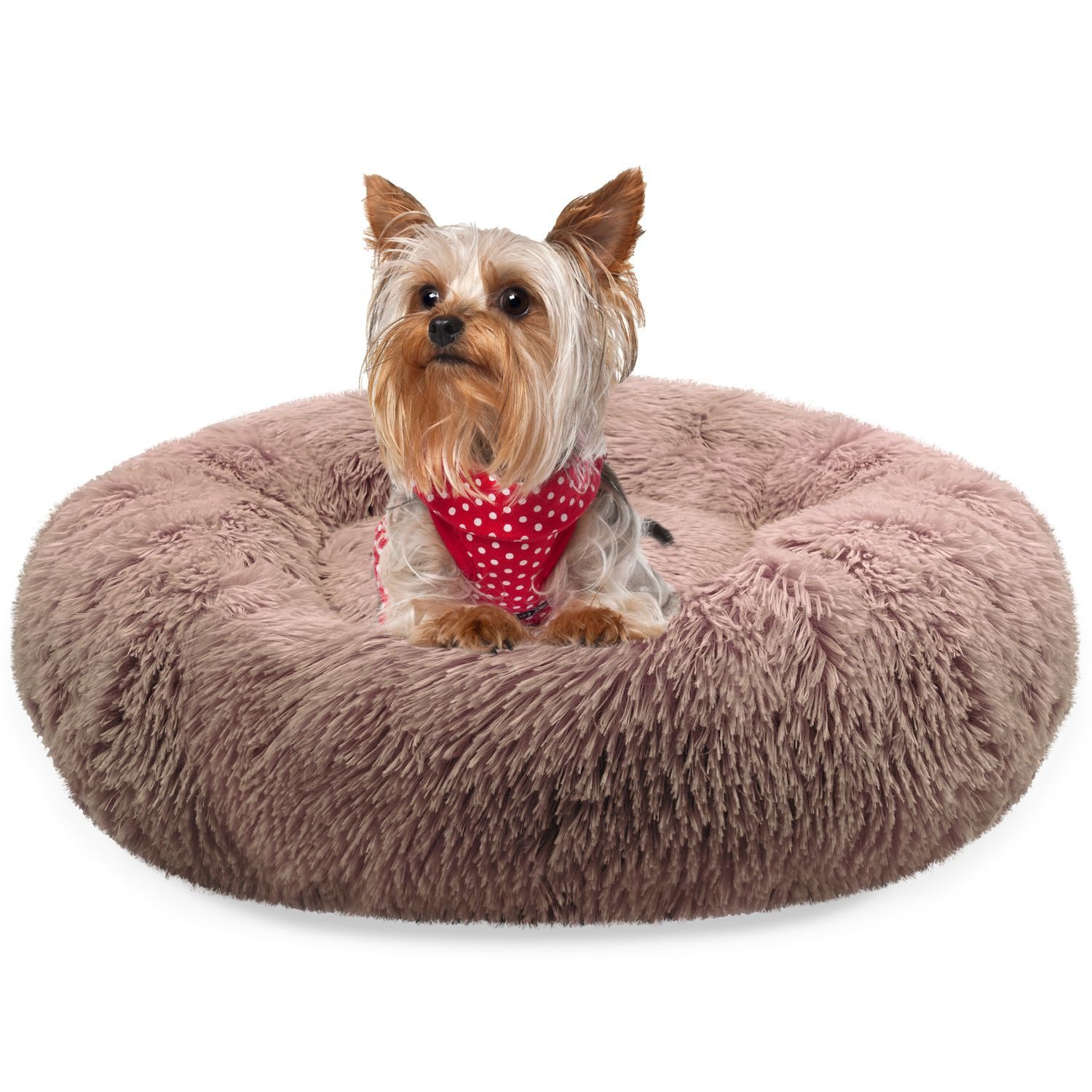 Bluzelle Tierbett Premium Hundebett Hundekissen Donut / Katzenbett Katzenkissen / XS, Flauschig Kuschelig Weiches Kunstfell, für Kleine Hunde / Hundekorb / Rund Waschbar Plüsch Kissen Tier Bett