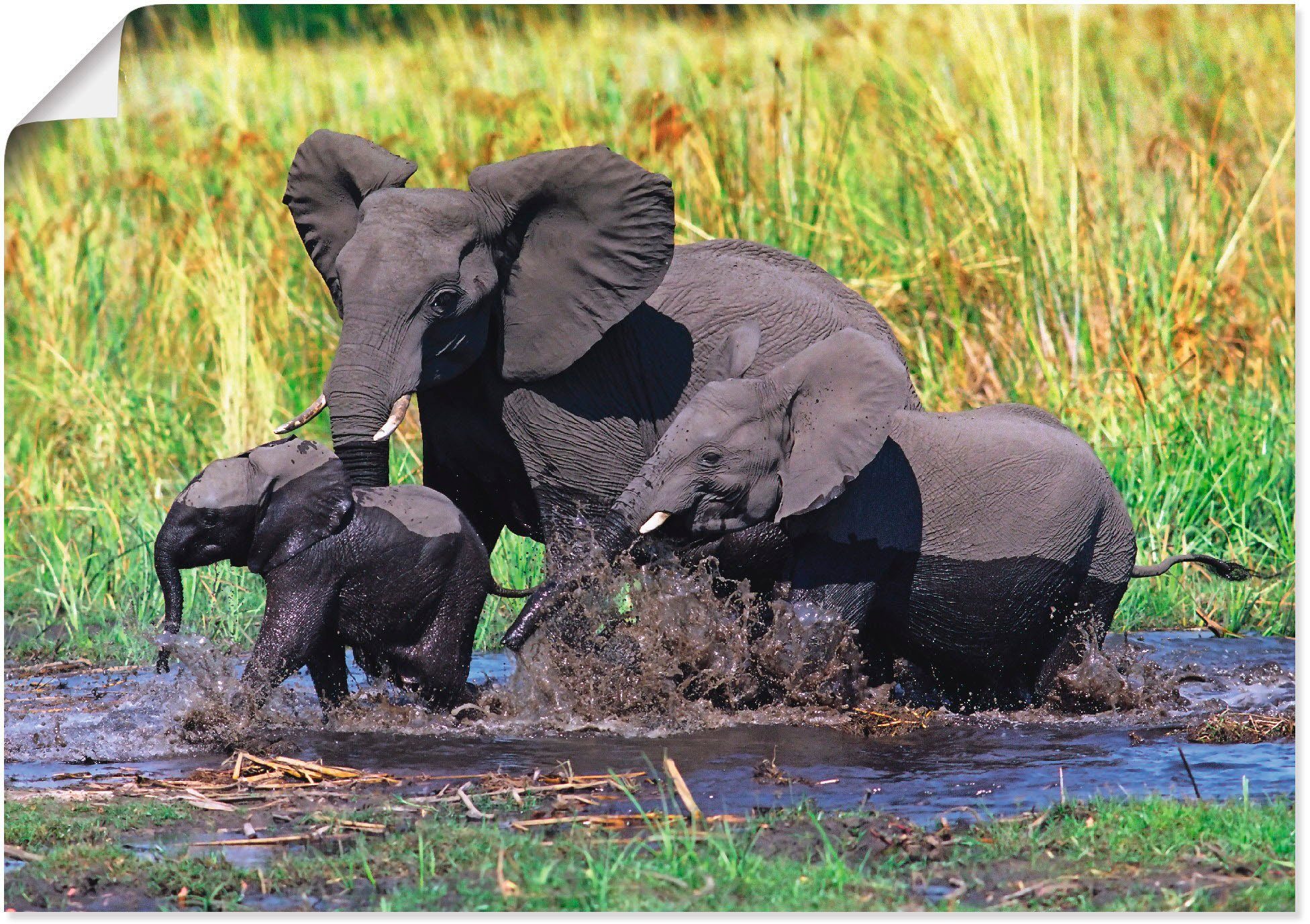 in oder Alubild, versch. Leinwandbild, Wandaufkleber als Elefantenfamilie, (1 Größen Wildtiere St), Wandbild Poster Artland