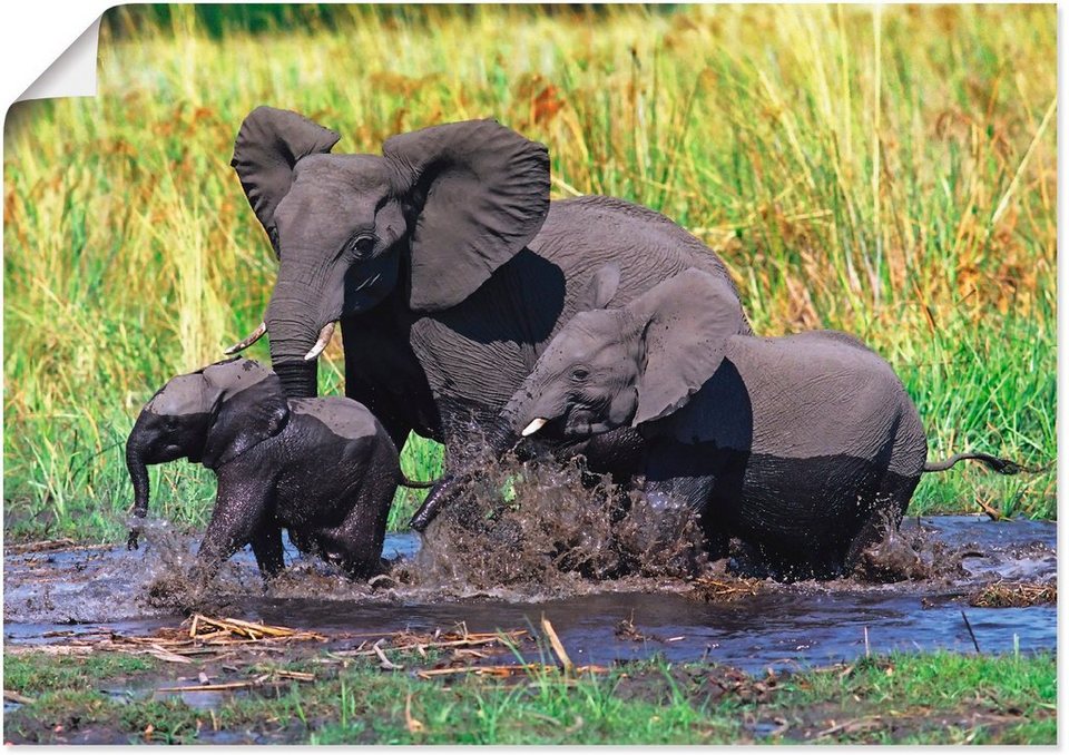 Artland Wandbild Elefantenfamilie, Wildtiere (1 St), als Alubild,  Leinwandbild, Wandaufkleber oder Poster in versch. Größen
