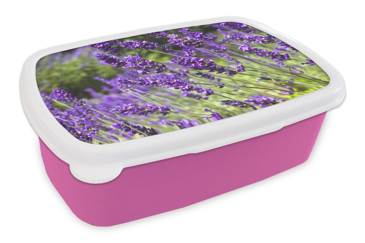 Natur, Lunchbox der Brotbox Snackbox, (2-tlg), Erwachsene, Kunststoff, Mädchen, für Leuchtend rosa Lavendel Kunststoff MuchoWow lila in Brotdose Kinder,