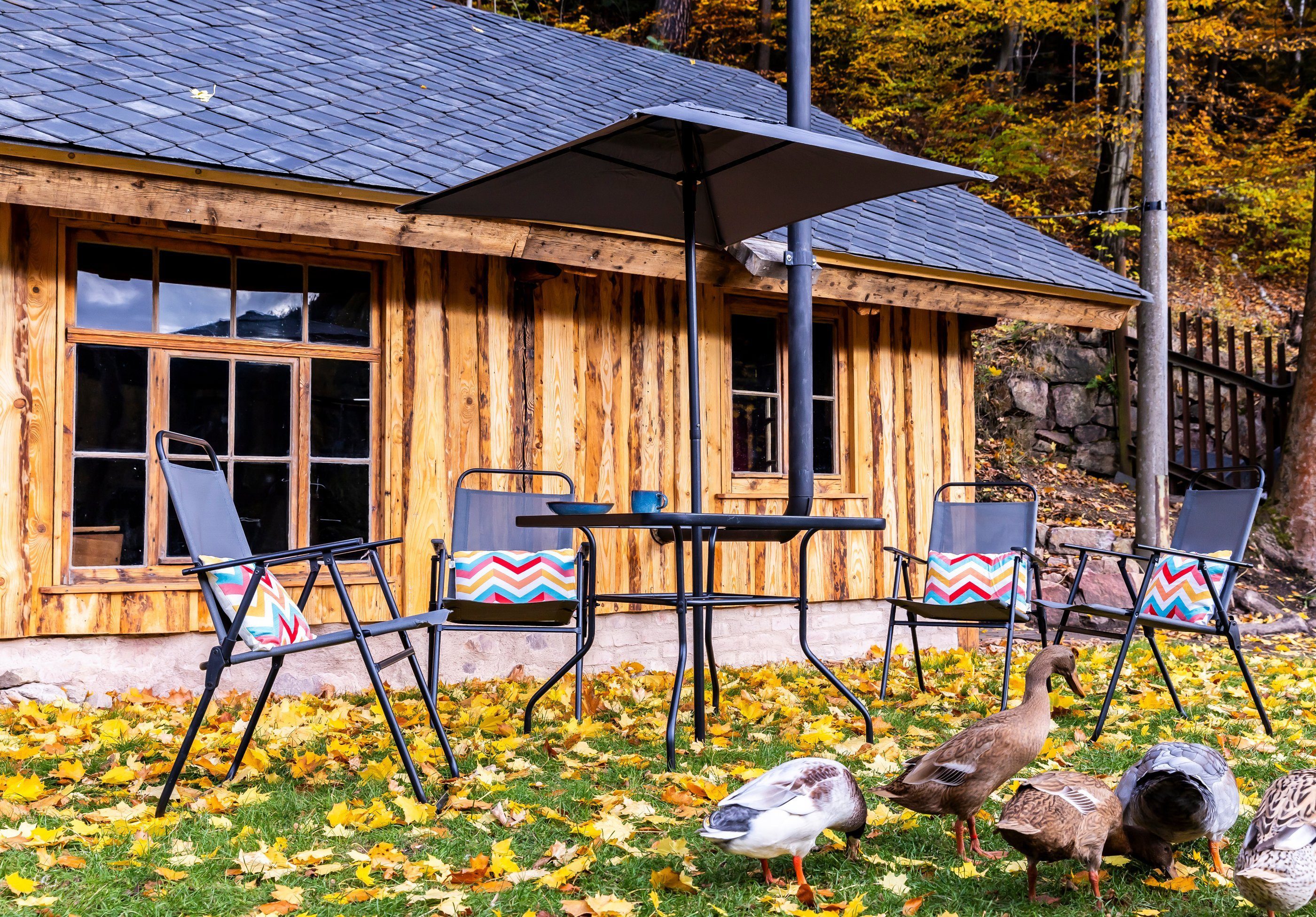 ONDIS24 Sitzgruppe Gartenmöbel Gartengarnitur Balkonmöbel Terrassenmöbel Set, (6-tlg), UV- und witterungsbeständig, inklusive Tisch und Sonnenschirm