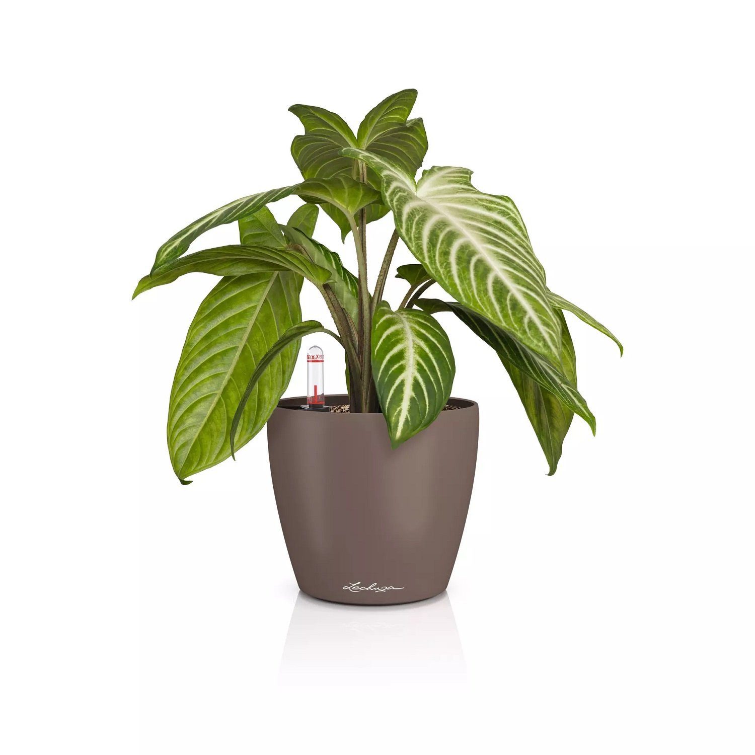 Lechuza® Blumentopf Lechuza Classico Color 14 muskat 16698 (Komplettset)