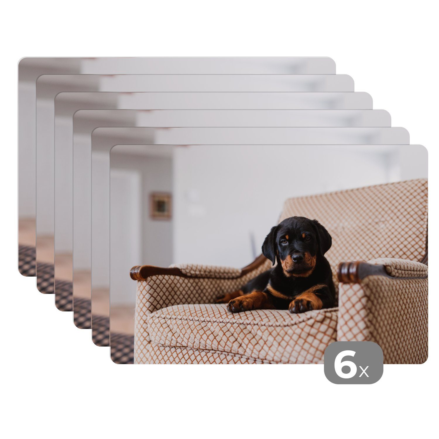 Platzset, Niedlicher Rottweiler-Welpe sitzt auf einem Stuhl, MuchoWow, (6-St), Platzset, Platzdecken, Platzmatte, Tischmatten, Schmutzabweisend | Tischsets