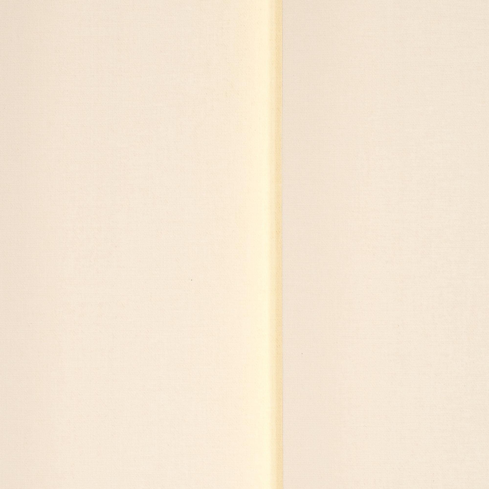 Lamellenvorhang Liedeco, Bohren mit beige 89 mm, Vertikalanlage
