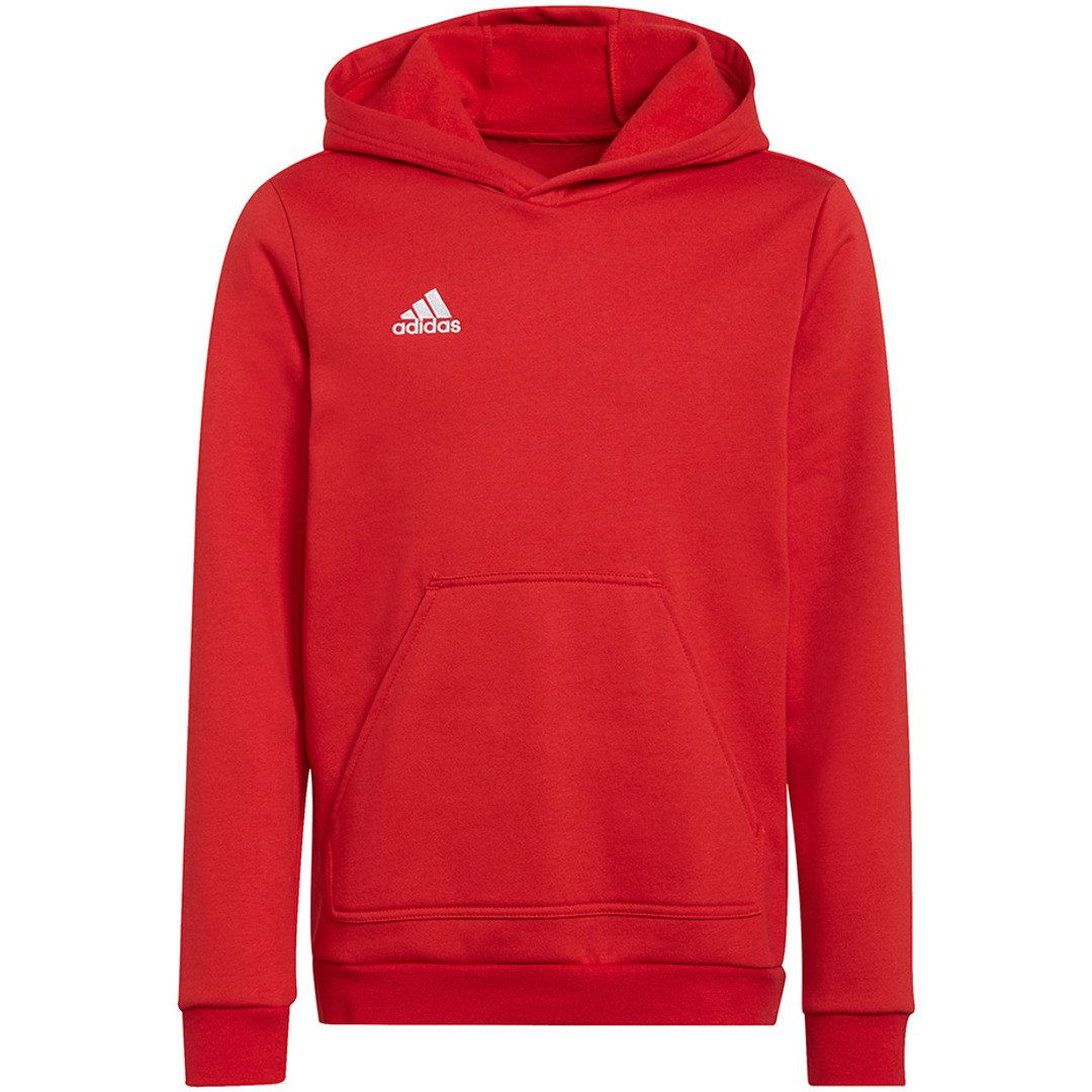 adidas Performance Kapuzensweatshirt Entrada 22
