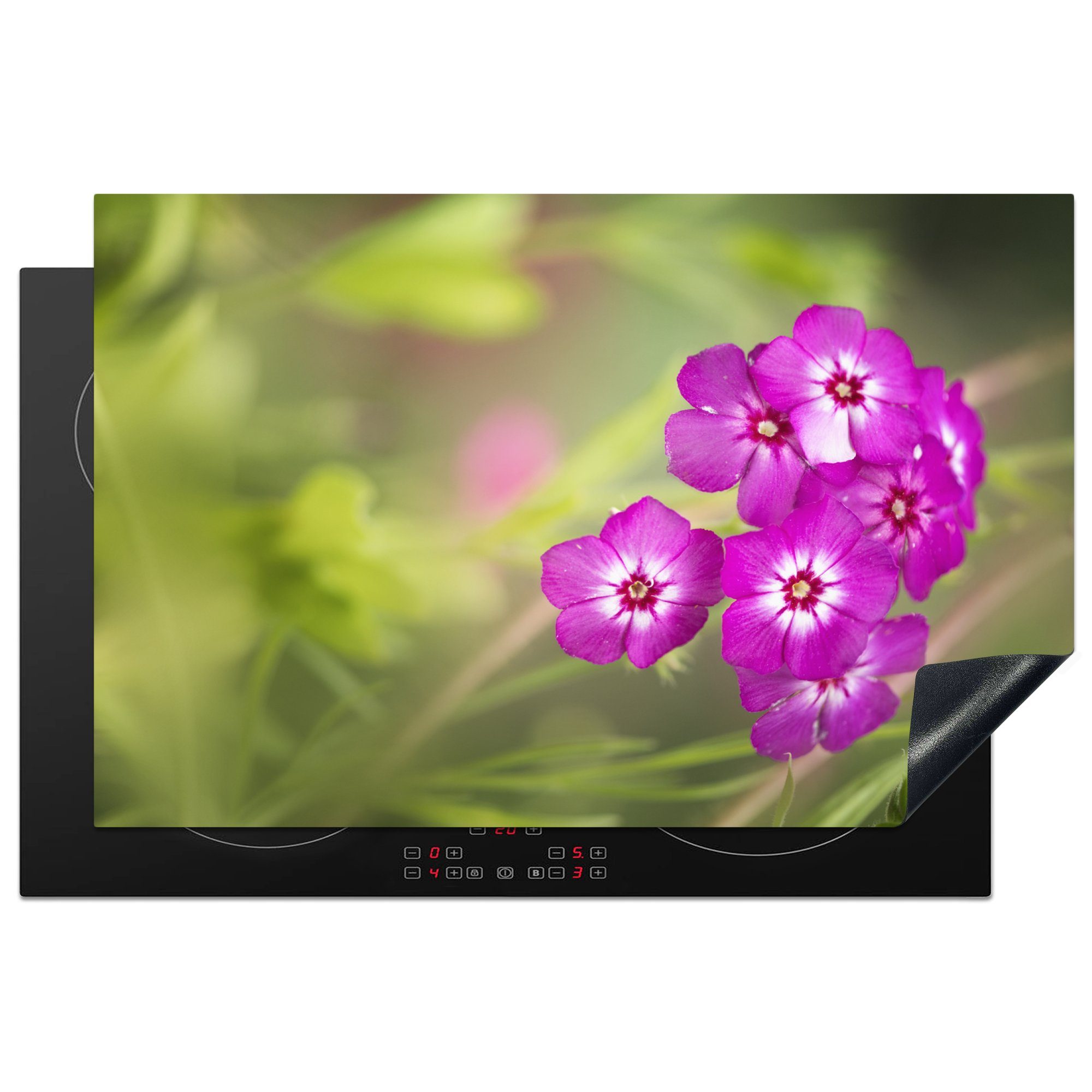 MuchoWow Herdblende-/Abdeckplatte Leuchtend lila Schmetterlinge auf einem hellgrünen Hintergrund, Vinyl, (1 tlg), 81x52 cm, Induktionskochfeld Schutz für die küche, Ceranfeldabdeckung