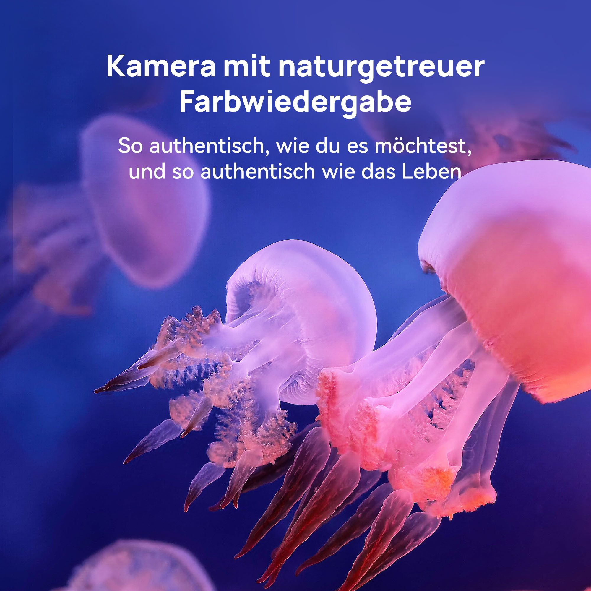 Huawei Mate X7 Smartphone (20,32 cm/8 Zoll, 50 MP Kamera)