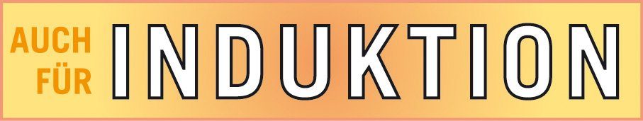 GSW Kochtopf Profi, Edelstahl (1-tlg., Glasdeckel), Induktion