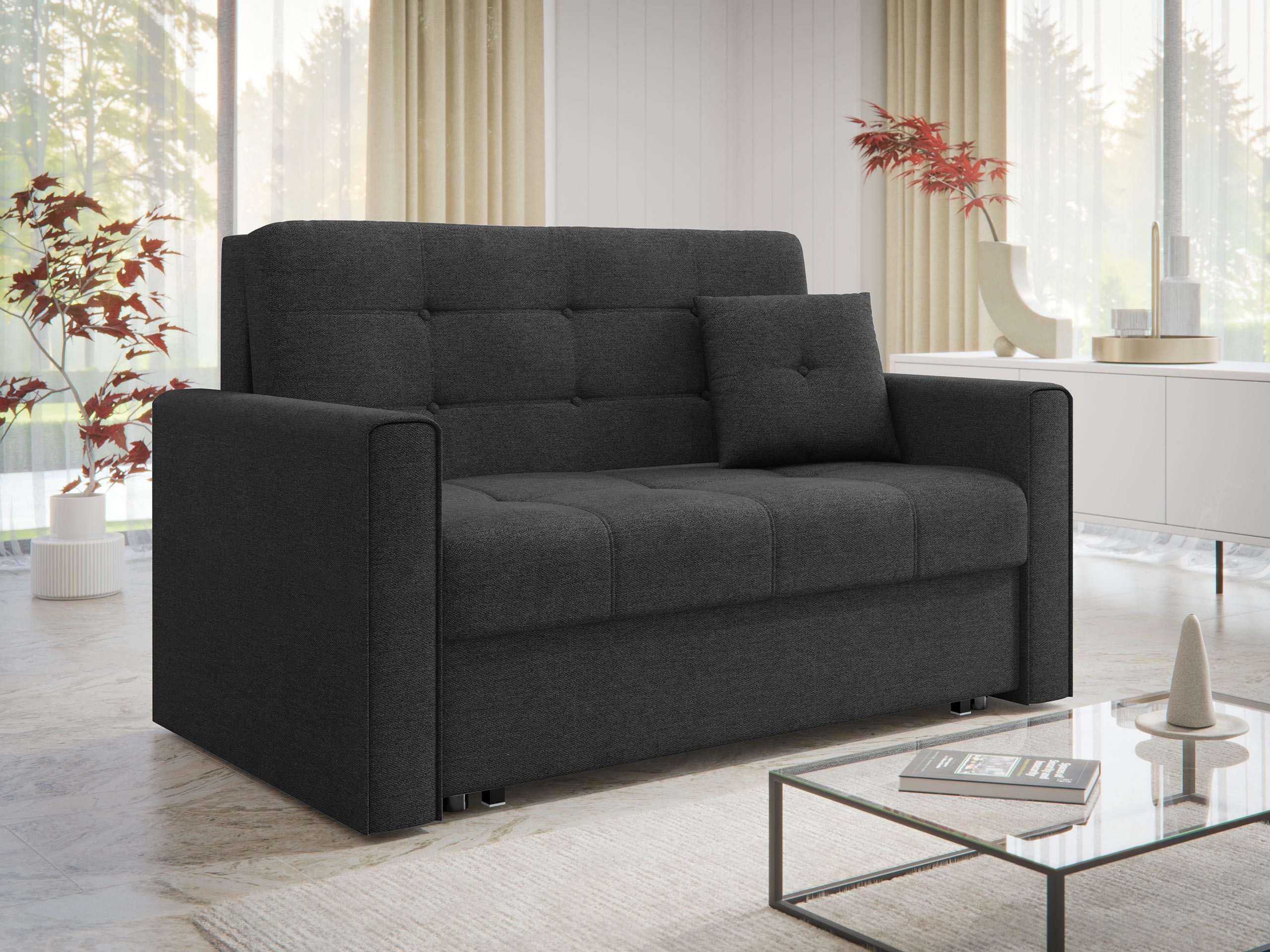 MIRJAN24 Schlafsofa Viva Lux II, mit Schlaffunktion und Bettkasten, 2 Sitzer, inkl. Kissen