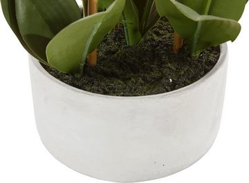Kunstpflanze Lilington Orchidee, Timbers, Höhe 65 cm, im Zementtopf, Kunstorchidee
