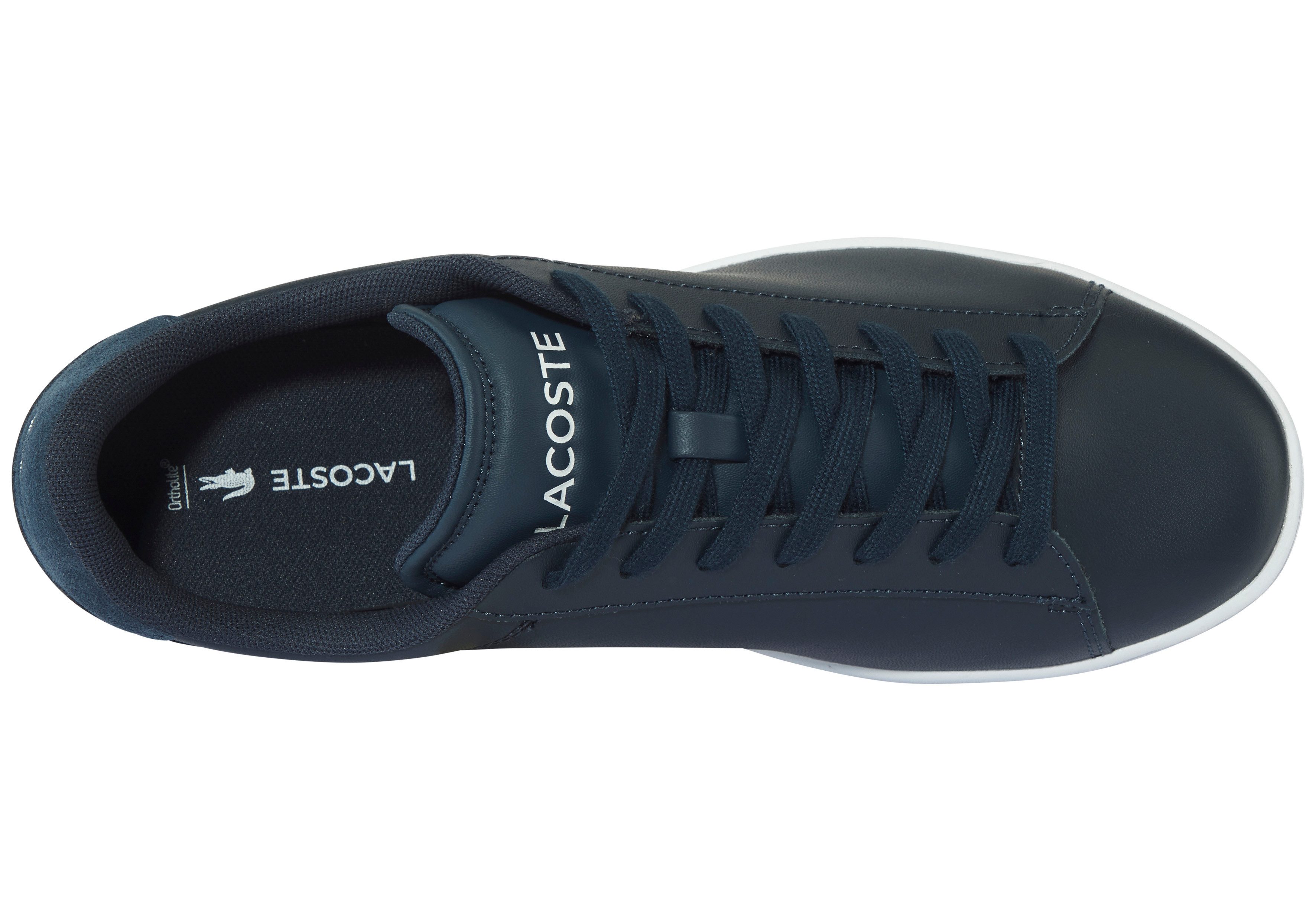 Lacoste LACOSTE CARNABY Sneaker