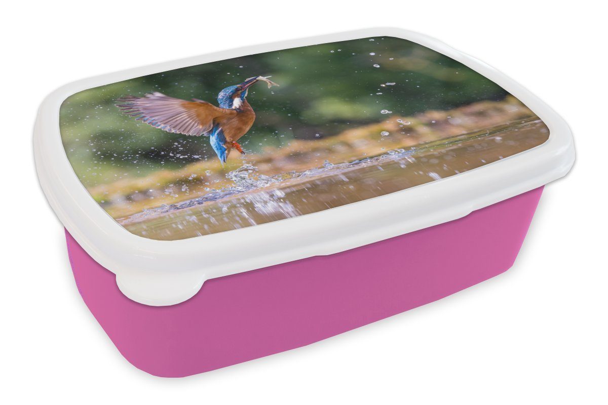 MuchoWow Lunchbox Fisch - Eisvogel - Flügel, Kunststoff, (2-tlg), Brotbox für Erwachsene, Brotdose Kinder, Snackbox, Mädchen, Kunststoff rosa