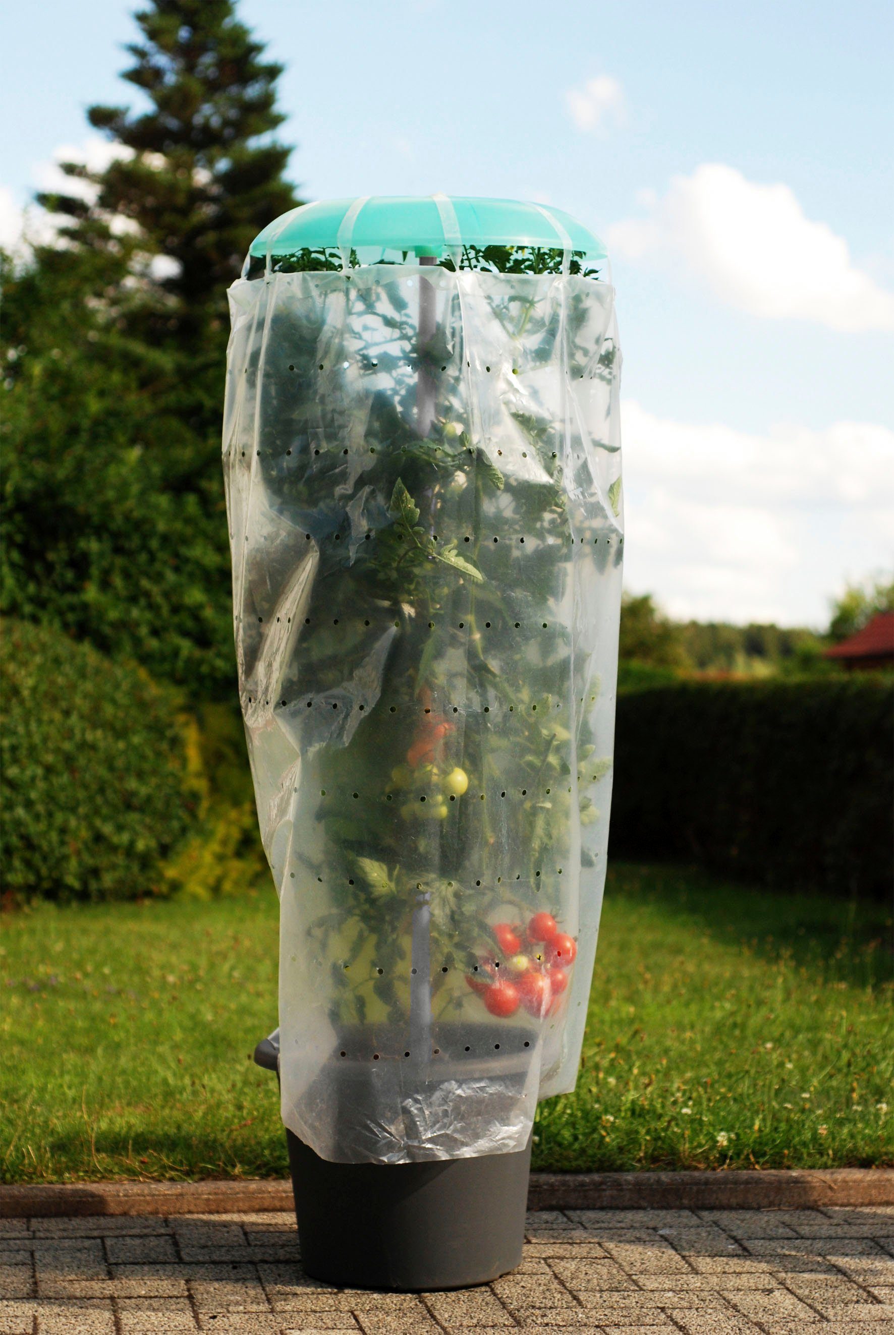 Pflanzkübel Schutzfolie Tomatenhut-Starterset, und KHW Stab inkl.