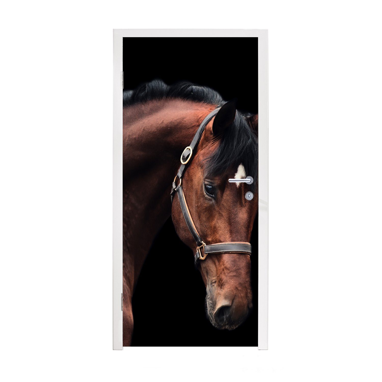 MuchoWow Türtapete Pferd - Leicht - Halfter, Matt, bedruckt, (1 St), Fototapete für Tür, Türaufkleber, 75x205 cm