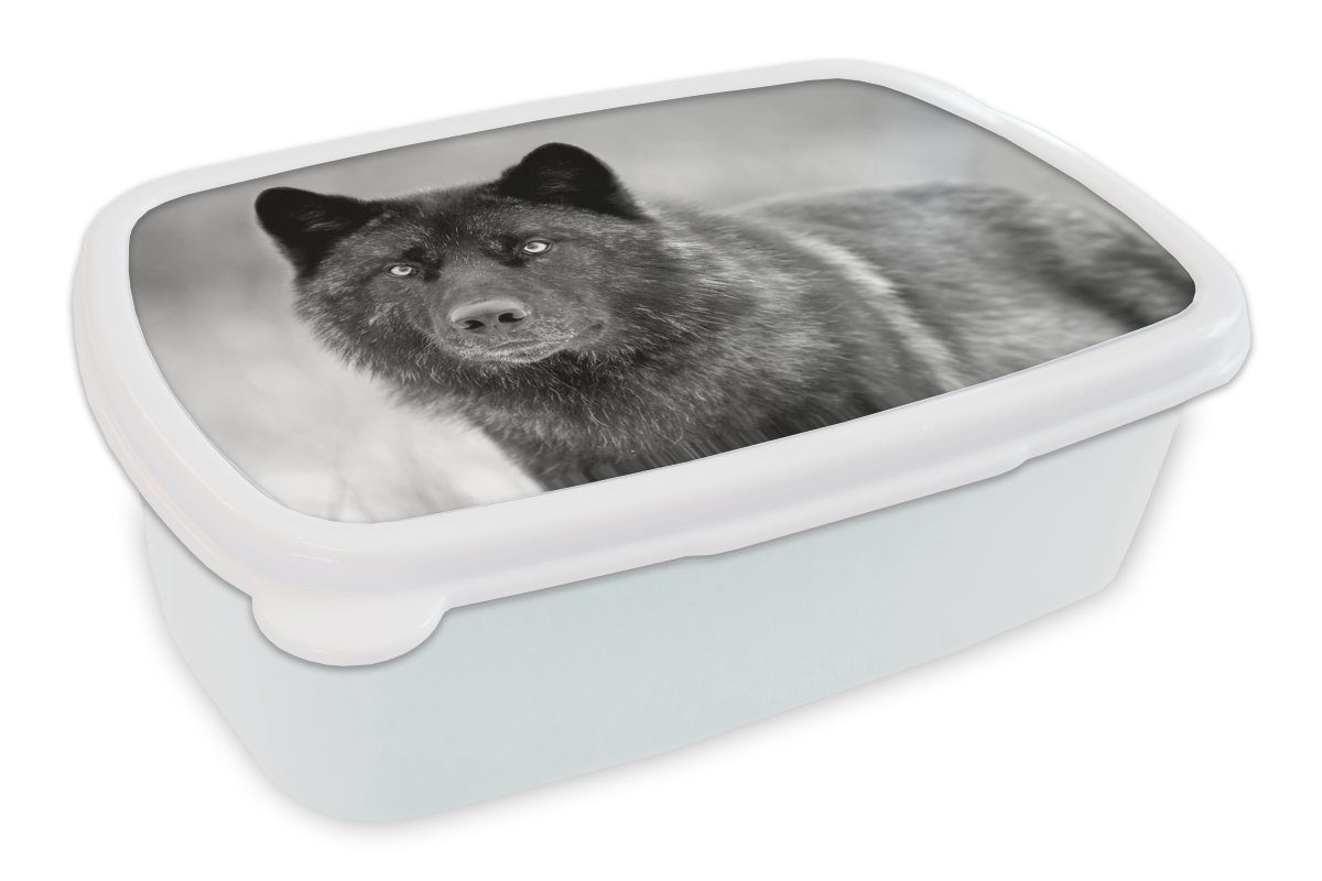 MuchoWow Lunchbox Wolf - Nahaufnahme - Schwarz - Weiß, Kunststoff, (2-tlg), Brotbox für Kinder und Erwachsene, Brotdose, für Jungs und Mädchen