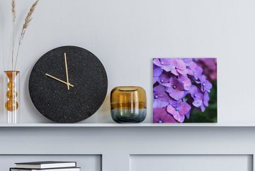 OneMillionCanvasses® Leinwandbild Blumen - Lila - Hortensie - Natur - Blütenblätter, (1 St), Leinwand Bilder für Wohnzimmer Schlafzimmer