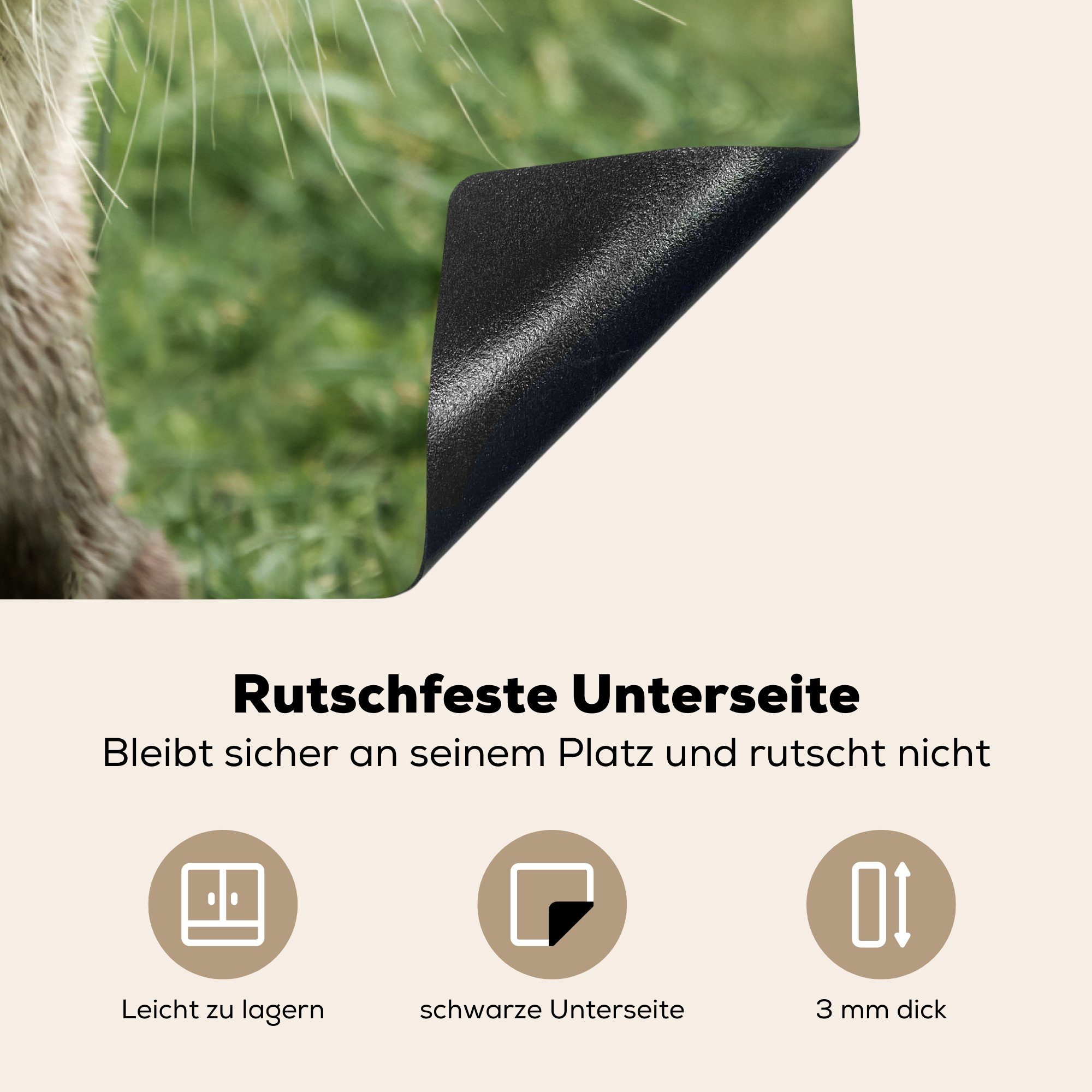 MuchoWow Herdblende-/Abdeckplatte Otter im Gras, Schutz (1 für küche, die Induktionskochfeld tlg), Ceranfeldabdeckung 81x52 cm, Vinyl