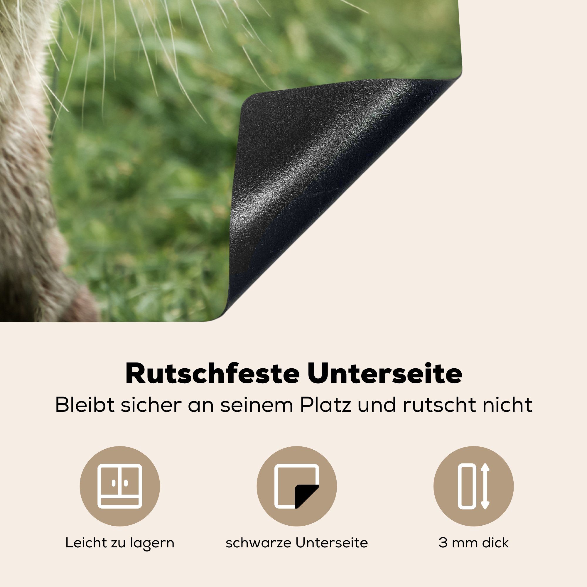 MuchoWow Herdblende-/Abdeckplatte Vinyl, küche, im Gras, (1 Schutz die 81x52 cm, Otter tlg), Induktionskochfeld für Ceranfeldabdeckung