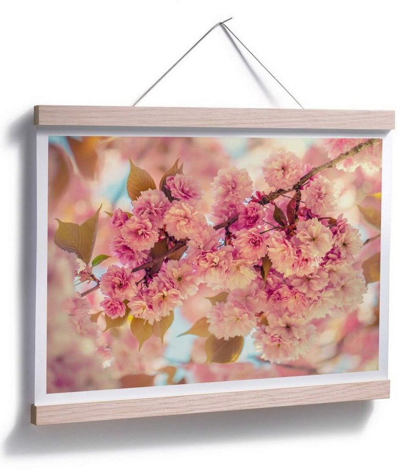 Natur Wall-Art St) Poster Kirschblüten, (1