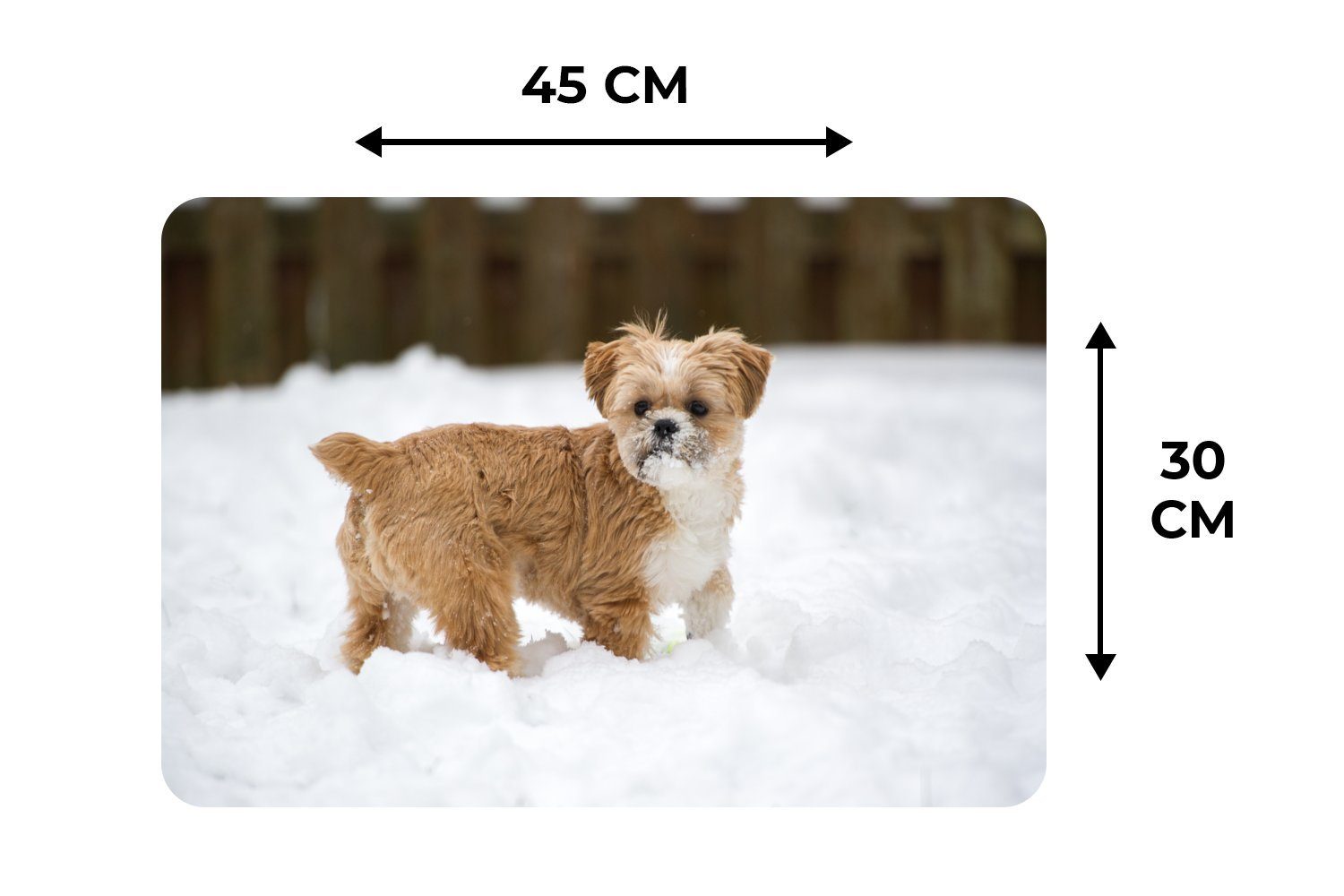 Platzset, Shih Tzu Hund Platzdecken, Platzmatte, Platzset, Schmutzabweisend im Schnee, (6-St), MuchoWow, spielt Tischmatten