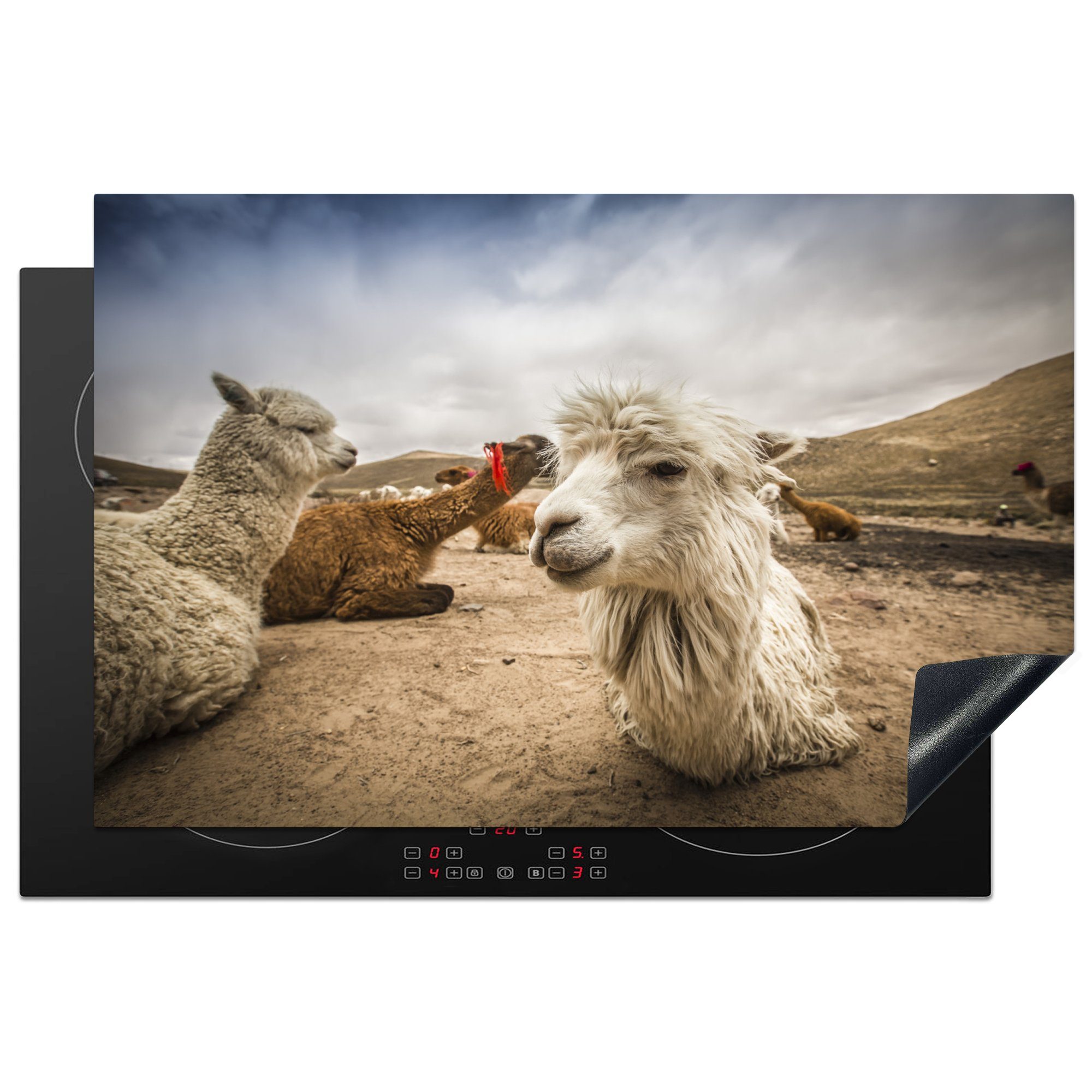 MuchoWow Herdblende-/Abdeckplatte Lamas ruhen sich in der Landschaft von Arequipa aus, Vinyl, (1 tlg), 81x52 cm, Induktionskochfeld Schutz für die küche, Ceranfeldabdeckung