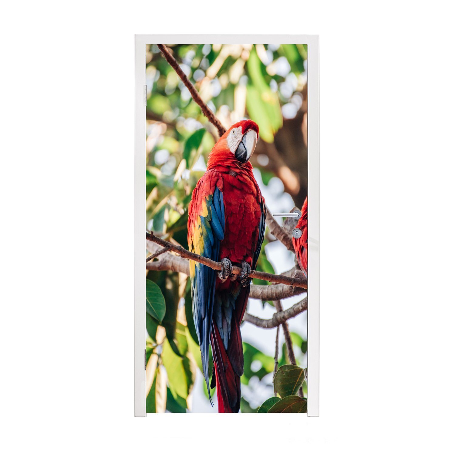 MuchoWow Türtapete Papagei - Vögel - Baum, Matt, bedruckt, (1 St), Fototapete für Tür, Türaufkleber, 75x205 cm