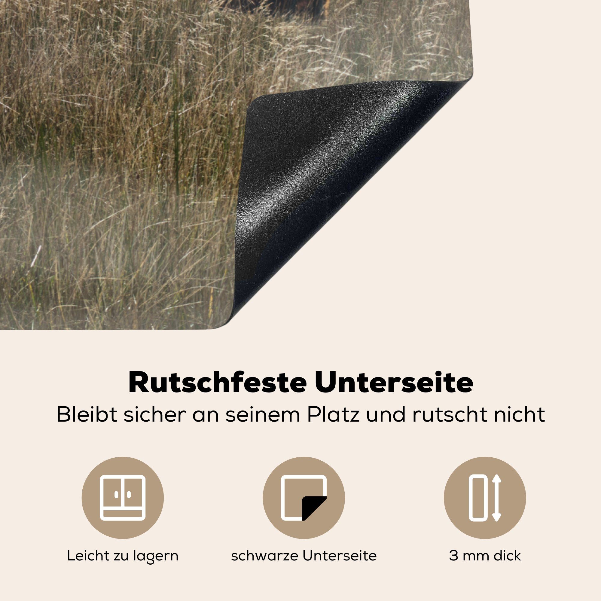 tlg), Vinyl, Schutz 81x52 MuchoWow Herdblende-/Abdeckplatte Ceranfeldabdeckung - Highlander Nebel - Schottische für Gras, die Induktionskochfeld (1 cm, küche,