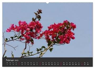 CALVENDO Wandkalender ISRAEL - Einblicke ins Heilige Land 2023 (Premium, hochwertiger DIN A2 Wandkalender 2023, Kunstdruck in Hochglanz)
