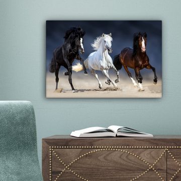 OneMillionCanvasses® Leinwandbild Pferde - Tiere - Sand, (1 St), Wandbild Leinwandbilder, Aufhängefertig, Wanddeko, 30x20 cm