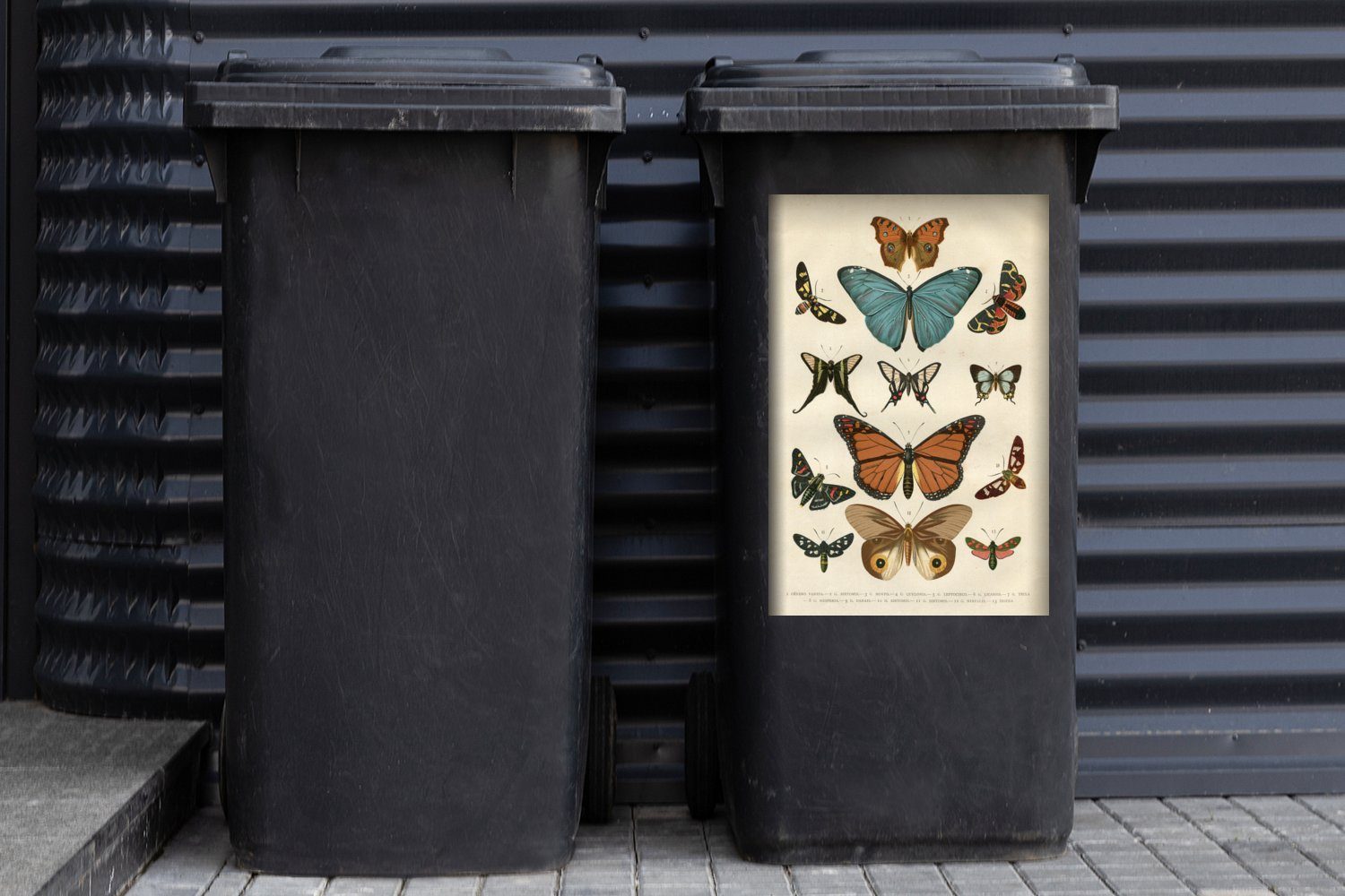 - Wandsticker - Mülleimer-aufkleber, Sticker, Container, - Mülltonne, MuchoWow Abfalbehälter St), (1 Vintage Bleistift Schmetterlinge Zeichnung